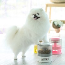 주말특가 강아지 터치 노즈워크 장난감 소형견 중형견 누르면 나오는, 핑크
