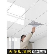 욕실 천장재 6개입 천장 마감재 화장실, 서리 백설공주 30cmx60cm개6개