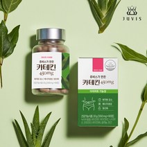[쥬비스] 쥬비스가 만든 new 카테킨 450mg x 4개(240정 4개월분) 항산화 녹차추출물, 단일속성