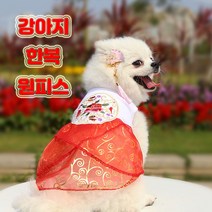 명절룩 강아지 한복 원피스 설날준비 새해준비 추석준비, 빨간동백