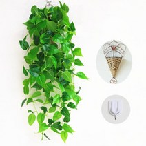 거실벽장식 벽걸이 그린 등나무 식물 가림막 식당 장식품 화분 리얼 걸이용품 가슴 티 깔다 위 벽면 2451438170, 뾰족한 각 그린 뤄 한송이 (걸이를선