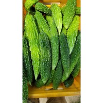 생여주 국산여주 국내재배 생여주, 한국생여주1kg