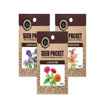 화분월드 예쁜 야생화 씨앗 고급 꽃씨, (고급꽃씨)수세미25립, (고급꽃씨)수세미25립