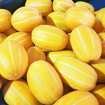 못난이참외3kg 성주 참외3키로 혼합과 가정용 고당도, 1개