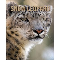 Snow Leopard: Amazing Snow Leopard Pictures Book for kids Paperback, Independently Published
