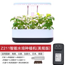 원예부자재 수경재배 조영 다육 무토재배실 내 스마트채소기 수배채소 재배설비 가정식물 화훼-52303, 옵션02