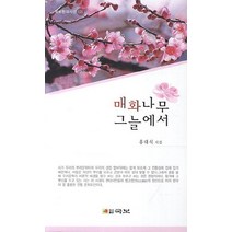 매화나무 그늘에서:홍대식 시집, 국보, 홍대식 저