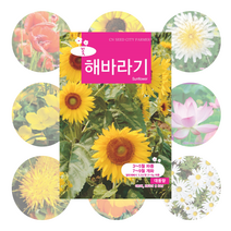 꽃씨 대용량, 접시꽃 100g