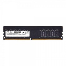 PNY 퍼포먼스 16GB DDR4 드램 3200MHz (PC4-25600) CL22 (2666MHz 2400MHz 2133MHz 호환) 1.2V 데스크탑 (DIMM) 컴퓨터 메모리, Eco Packaging_2666MHz
