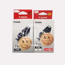 캐논 정품잉크 카트리지 PGI-750PGBK, pgi-750bk
