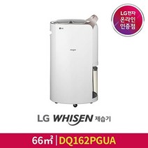[LG][공식판매점] WHISEN 제습기 DQ162PGUA, 폐가전수거없음