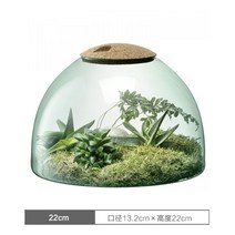 둥지형 비바리움 이끼분재 작은 파충류 꾸미기 재료 화분 홈 사막 이끼 식물 유리 마이크로 DIY, 중간, 22cm