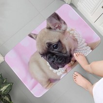 미니 프렌치 불독 애완견 프린트 플란넬 플로어 매트 욕실 장식 카펫 러그 미끄럼 방지 거실 주방 환영 현관