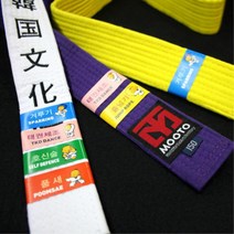 태권도학원용 프로그램 수행완료 띠밴드 10장세트, 무지-갈색