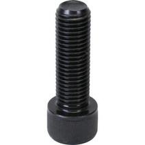 신진화스너 렌치볼트(고장력) M10x60 (1봉 30EA)