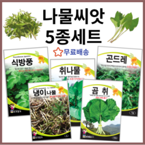 나물씨앗 5종세트 곰취 냉이 식방풍 취나물 곤드레 토종씨앗 종자 산나물씨앗 방풍나물씨앗 방풍 곤드레나물씨앗 취나물 냉이나물 씨앗, 1개