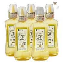 강원양봉 허니드림 사양벌꿀 튜브 500g x 5통