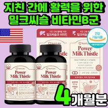 간에 좋은 실리마린 밀크시슬 간 건강 기능 식품 직장인 피로 회복제 보호 수치 개선 추천 50대 남성 남자 여자 나이아신 회복 40대 간에 좋은 보충제 비타민B 컴플렉스 영양제