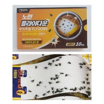 노런 플라이다운 파리트랩 끈끈이 10매 똥파치 초파리 나방 유인제 트랩
