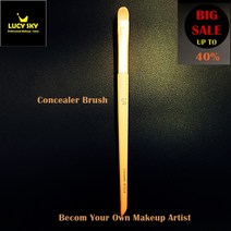 lucy sky루시 스카이 메이크업 브러쉬 스쿨 bts09 컨실러 브러쉬 아티스트급