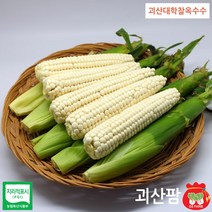 괴산팜 급냉 괴산 대학찰생옥수수 남녀노소 건강한 먹거리, 1박스, 30통 무선별