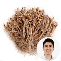 인삼수삼 실실이 삼계삼 150뿌리내외 750g 대명이네인삼