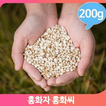 홍화꽃 건조 씨앗 200g 홍화자 건강차 여성 영양 약재