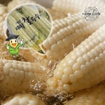 팜쿡 [팜쿡]괴산 삶은 대학찰옥수수 냉동 12개(팩당3개)