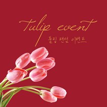 [코코 플라워] 튤립 랜덤 발송 생화택배 꽃배달싼곳