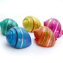 챔프 비비드 컬러쉘 (6~7.5cm 내외) 큰 소라게용, 덩치:6~6.5cm, 파랑