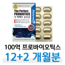 유산균 건강 기능 식품 프로바이오틱스 70대 할아버지 할머니 어르신 편안한 장 건강 유산균 프락토올리고당 100억 보장 유산균 홈쇼핑 프리미엄 골드 유산균 성분 가격 효능 비교, 12+2 달치, 510mg x 60캡슐 (하루 1캡슐)