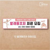 엠블루06 스포츠 배구 테니스 댄스스포츠 발레 요가 골프 피겨스케이트 복싱 폴댄스 축구 생활체육 동호회 회원모집 대회 행사 현수막, 10_발레동호회회원모집
