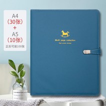 임신검사 데이터 앨범 임산부 임신기간 b초과 보고 화학 파일, T07-블루스몰 목마 30A410A5(앞뒤양면