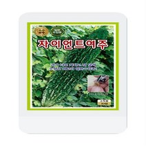 자이언트여주씨 10립 여주 씨앗 대장 KS종묘