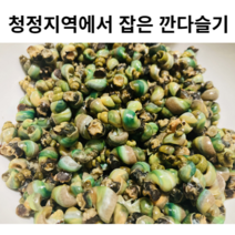 청정지역 채취한 국내산 자연산 다슬기 200g 깐다슬기 다슬기국 다슬기요리 국산 해감된 다슬기 세척다슬기 세척