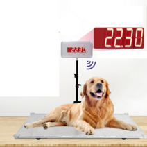 대형견 강아지 체중계 몸무게 저울 디지털 표시등, 상세 페이지 참고, 50x90cm 스틸저울 + 블루 LED