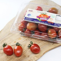 스테비아 방울토마토(토망고) 500g*2팩, 2팩