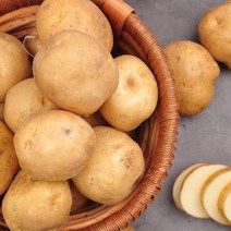 2022년도 포근한 감자 3kg/5kg 중/대, 02번 감자 5kg (중)