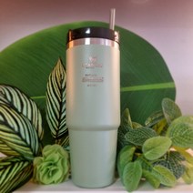 스타벅스 스탠리 DT텀블러 887ml 민트 대용량 starbucks tumbler 결혼답례품 행사사은품 몬스터텀블러