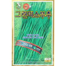 [씨앗맛집] 그린피스부추 초벌 영양 조선 노지 부추 쌈 야채 채소 씨앗 씨 모종 종자 키우기