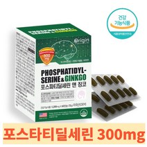 기억력 개선 오리진 포스파티딜세린 앤 징코 300mg_건강하게, 1박스