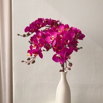 조화 인테리어 호접란 - 꽃 서양란, 퍼플