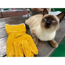 개 고양이 새 뱀 야생 동물 물림 방지 장갑 보호 두꺼운 가죽 훈련 - 나르웨일 통상