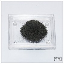 철가루 자력선 관찰 자석 실험 소형 5P 학습 준비물 방과후 원리 연구 과학 재료 교구 돌봄 창의