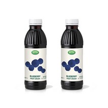 오스터버그 블루베리크러쉬, 2개, 1L