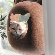 펫트롱 고양이 창문형 숨숨집, 브라운