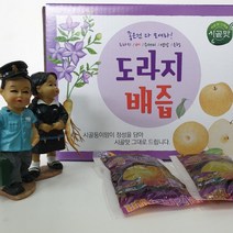 시골맛 도라지배즙, 115ml, 50개