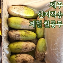 산지직송 제주 월동무 제주무 제주무우 10kg 20kg, 월동무_15kg