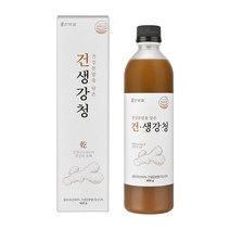 한보감 건생강청 생강청 생강차, 600g, 1개, 1개입