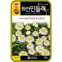 하얀민들레 50립 민들레씨앗 종자 꽃씨 화단만들기 한국토종 약초